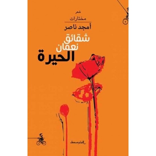 شقائق نعمان الحيرة شقائق نعمان الحيرة
