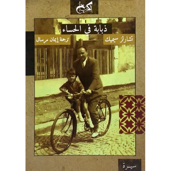 ذبابة في الحساء
