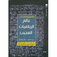 مغامرة يوم واحد في عالم الرياضيات العجيب