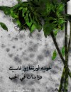 دراسات في الحب